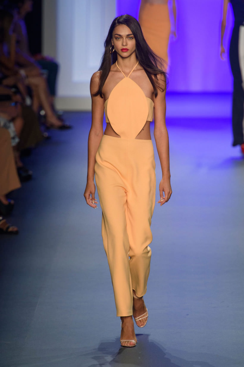 Cushnie+et+Ochs+Spring+2017+_WD6gx-yInXx